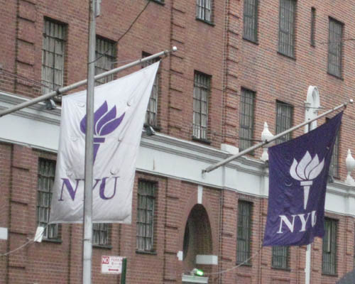 Nueva York University