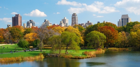 vista lago central park