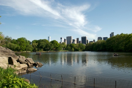 skyline desde el parque central